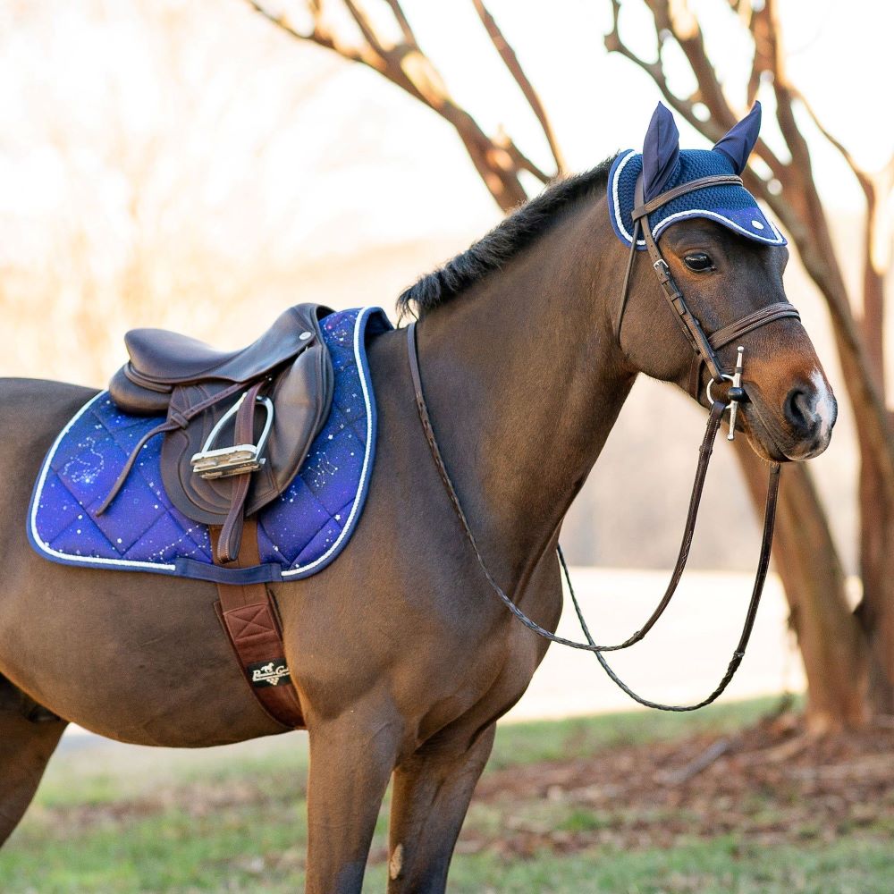 Bridle