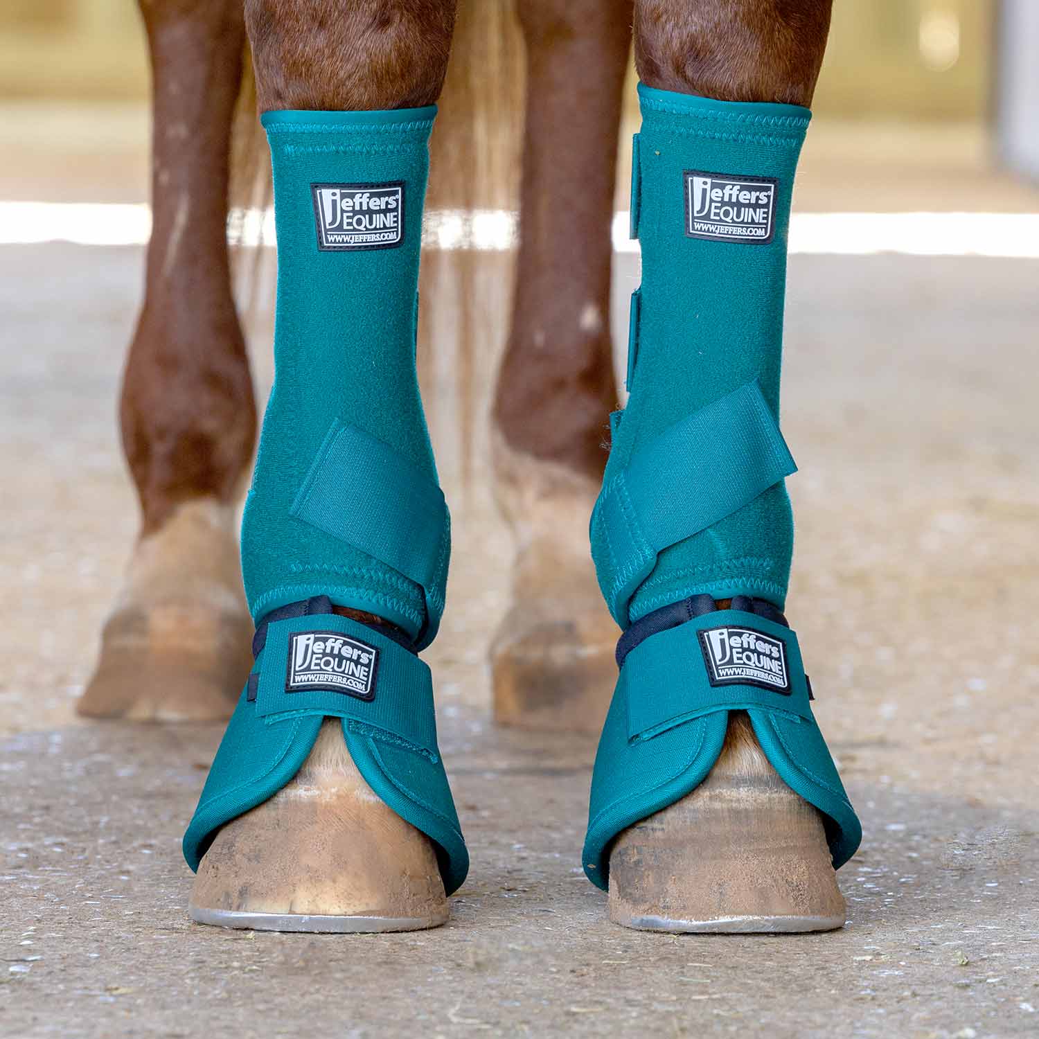 Horse boots