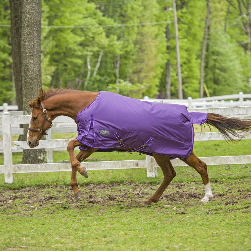 TuffRider 1680 D Super Comfy Winter Ripstop Turnout Blanket Medium Weight 200 GSM Standard Neck