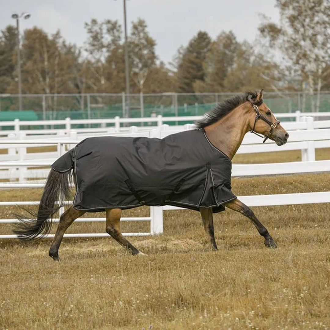 TuffRider 1200 D Comfy Winter Ripstop Turnout Blanket Medium Weight 200 GSM Standard Neck