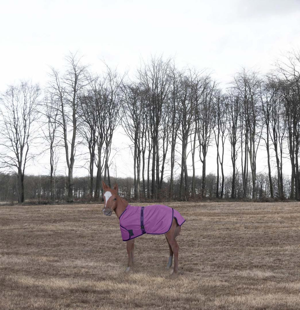 TuffRider 1200D Ripstop Foal Adjustable Turnout Blanket 220GSM Fill