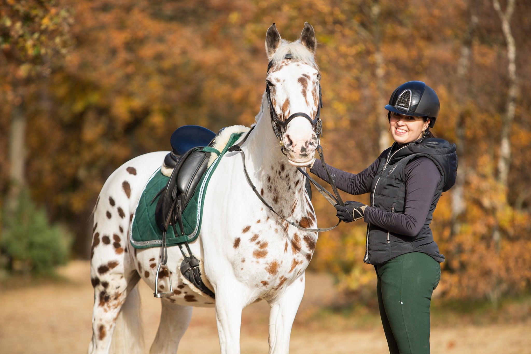 Pine Grove Saddle Pad
