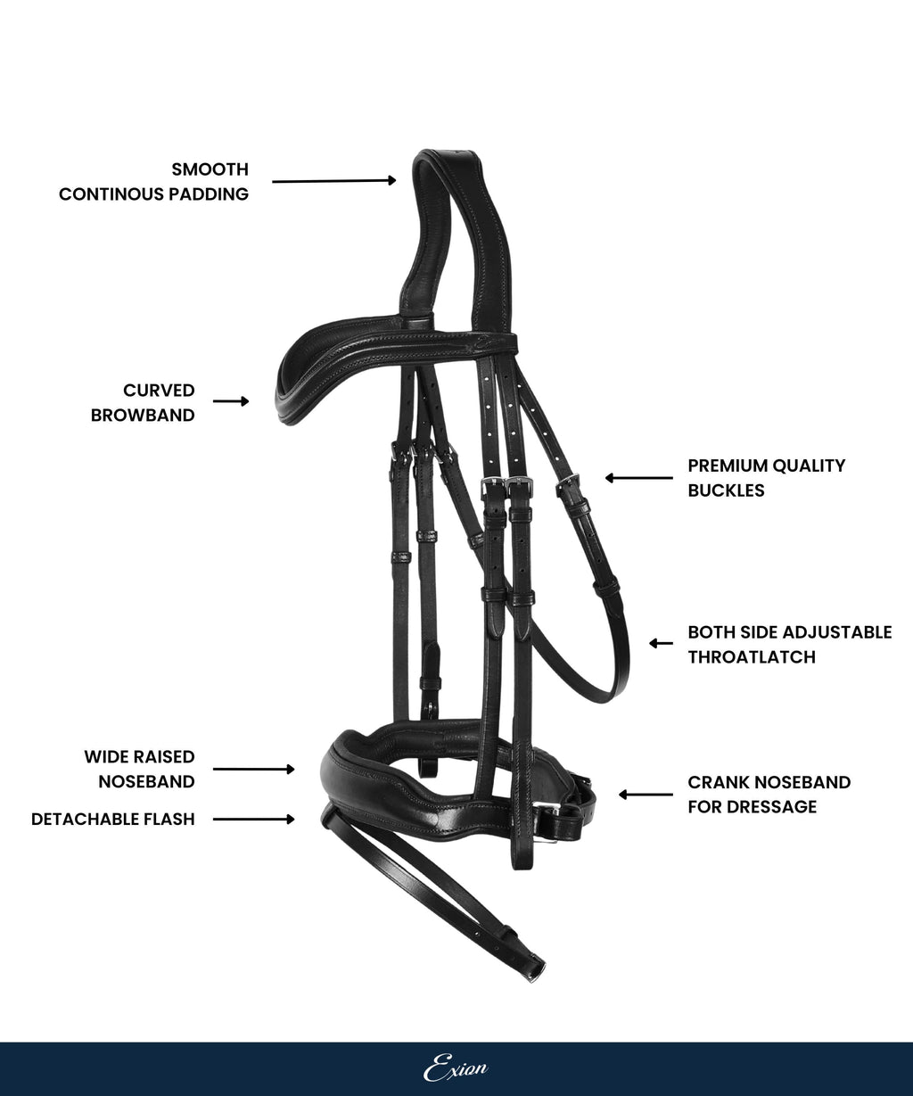 ExionPro 'Leo' Classic Dressage Bridle with Reins