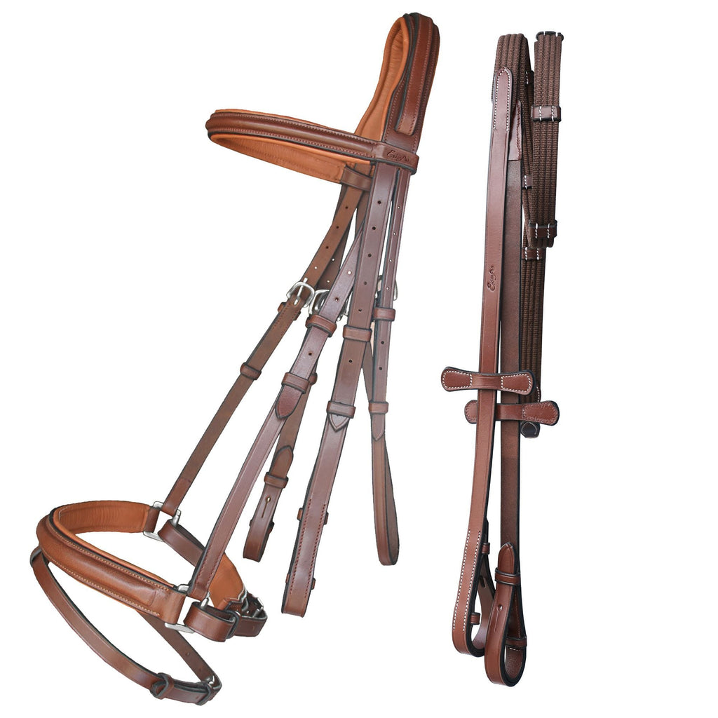ExionPro Pressure Relief Crown Dressage Bridle with Web Reins