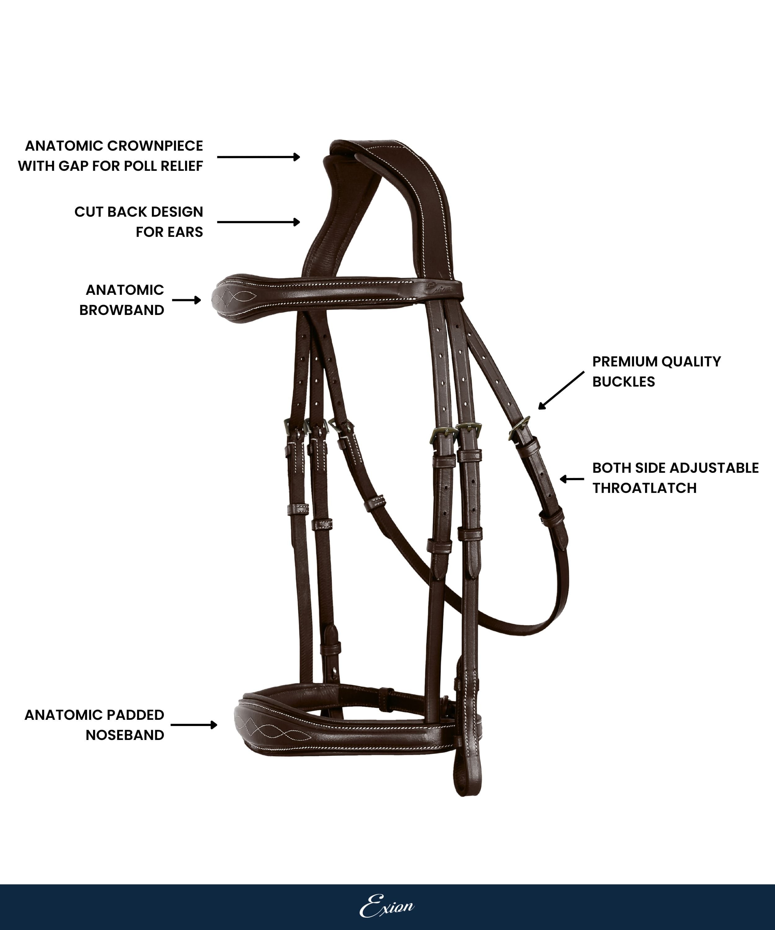 ExionPro 'Perseus' Anatomical Jumping Bridle without Flash with Reins