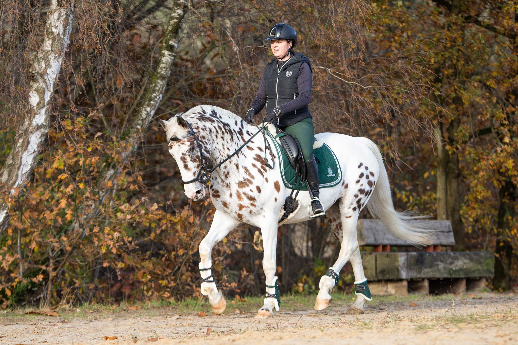 Pine Grove Saddle Pad