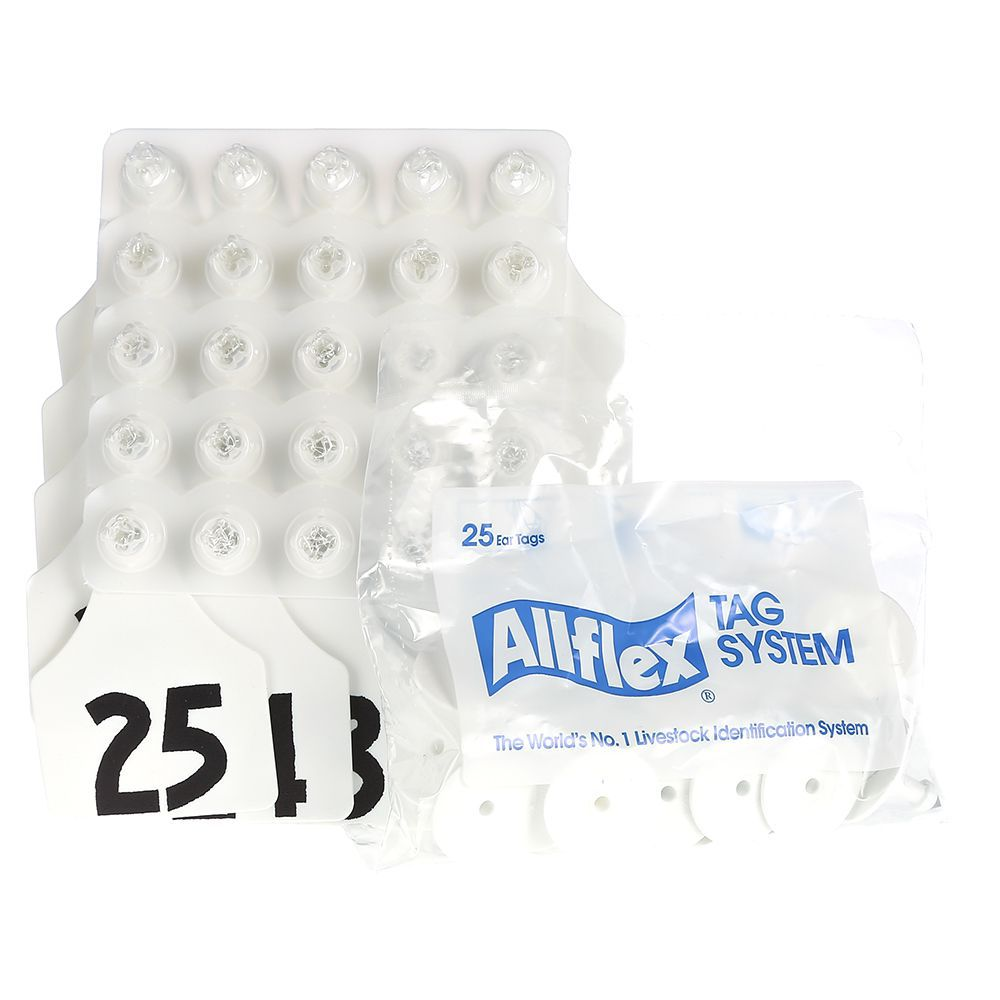 ALLFLEX: LARGE - FEM/SM - YELLOW - 51-75