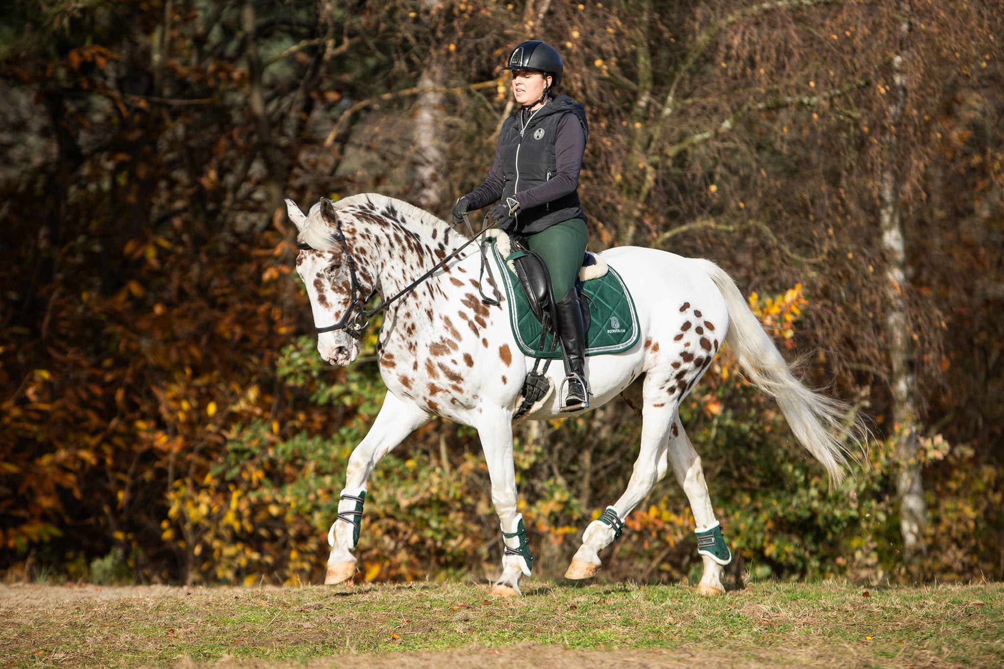 Pine Grove Saddle Pad