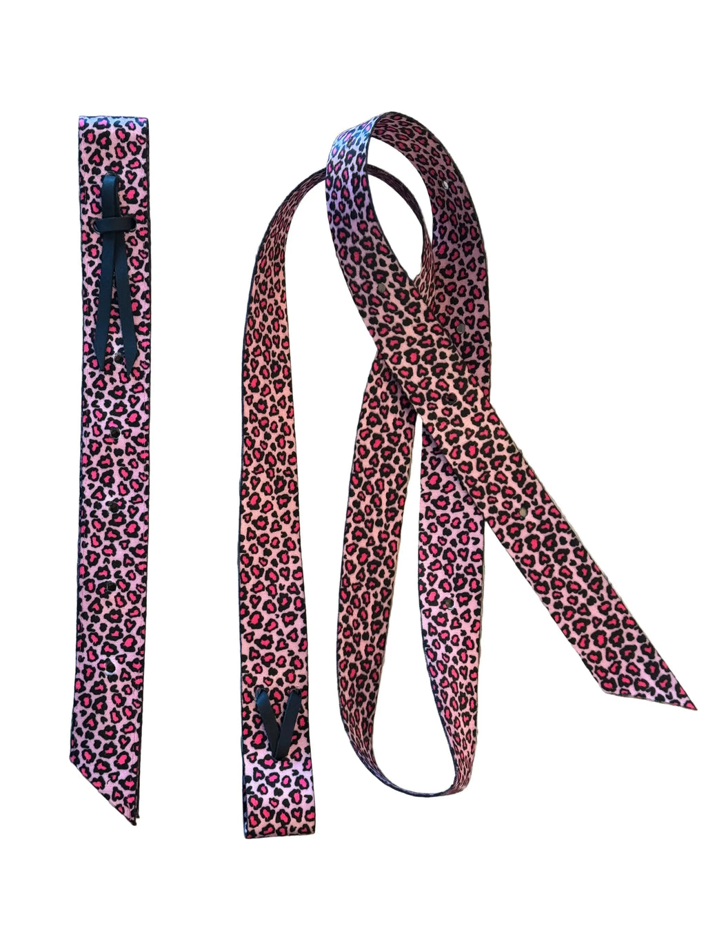 Catty Cowgirl Nylon Latigo and Off Billet Set