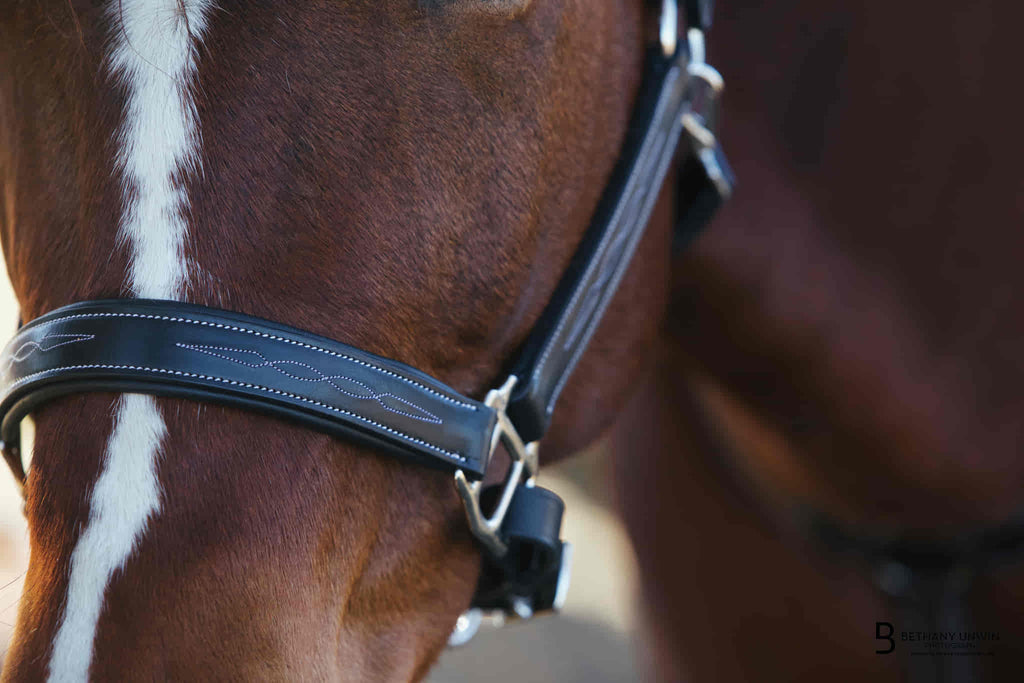 ExionPro Fancy Stitched Halter - Brass Nickel Hardware