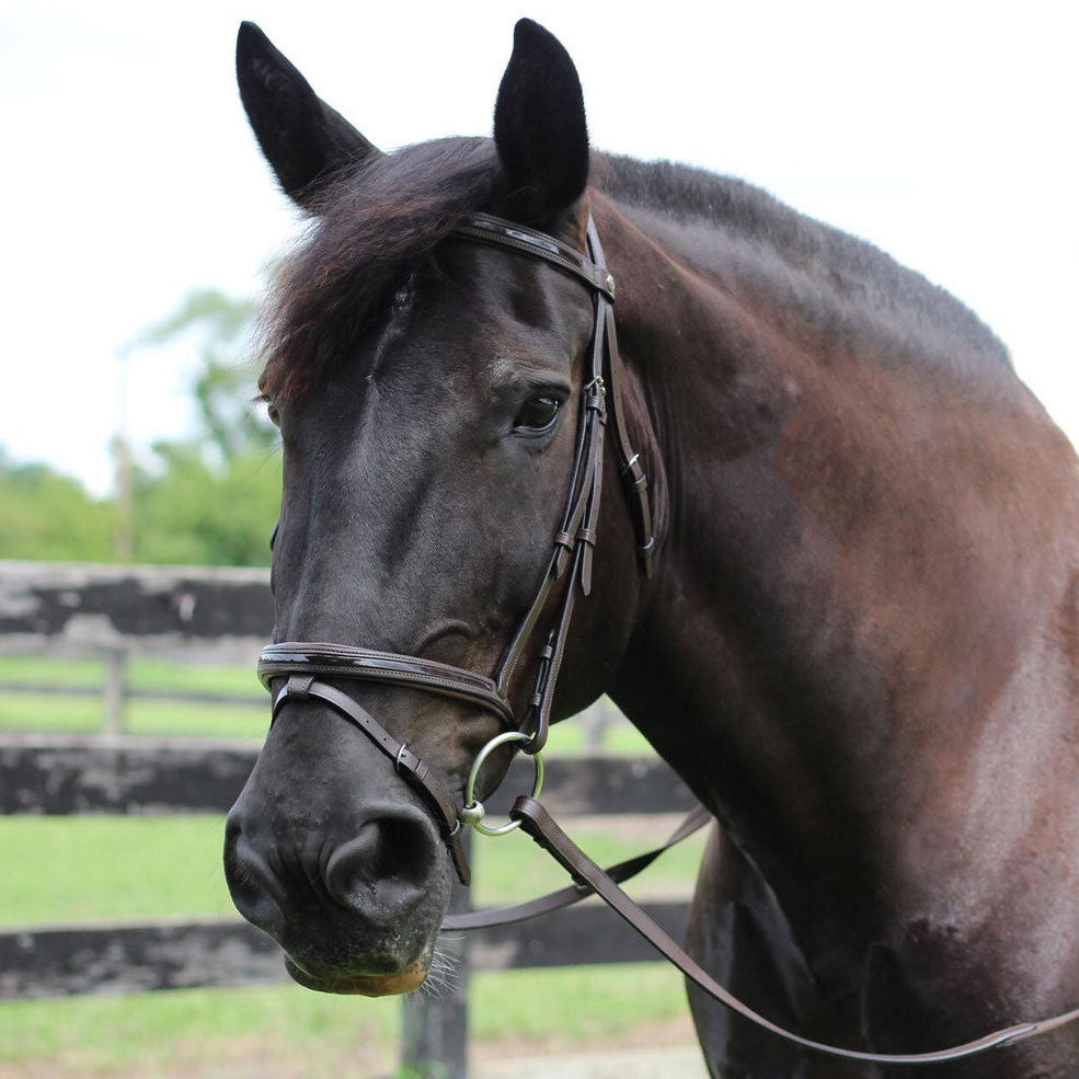 Henri de Rivel Pro Piaffe Mono Crown Bridle with Flash Noseband with Patent Leather