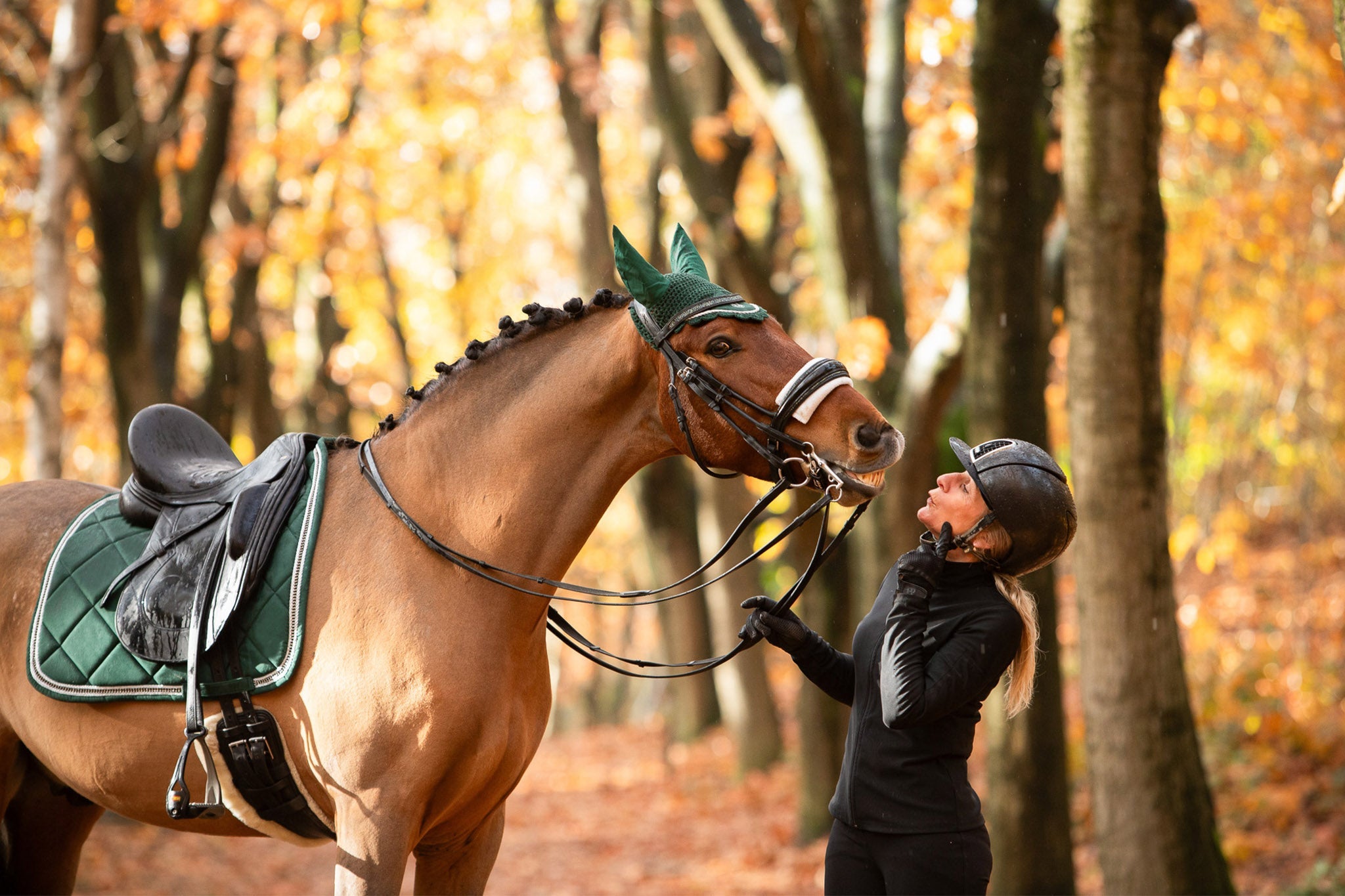 Pine Grove Saddle Pad