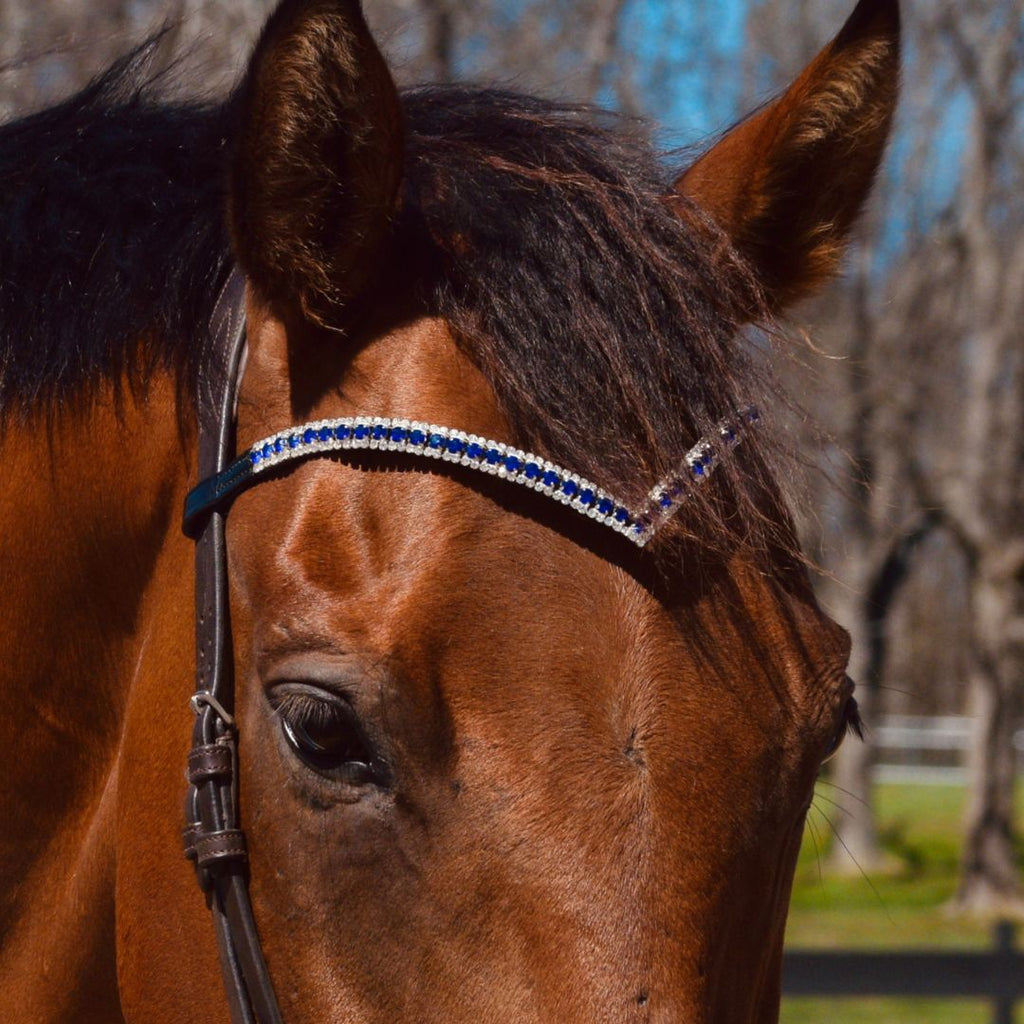 Blue Astra Browband