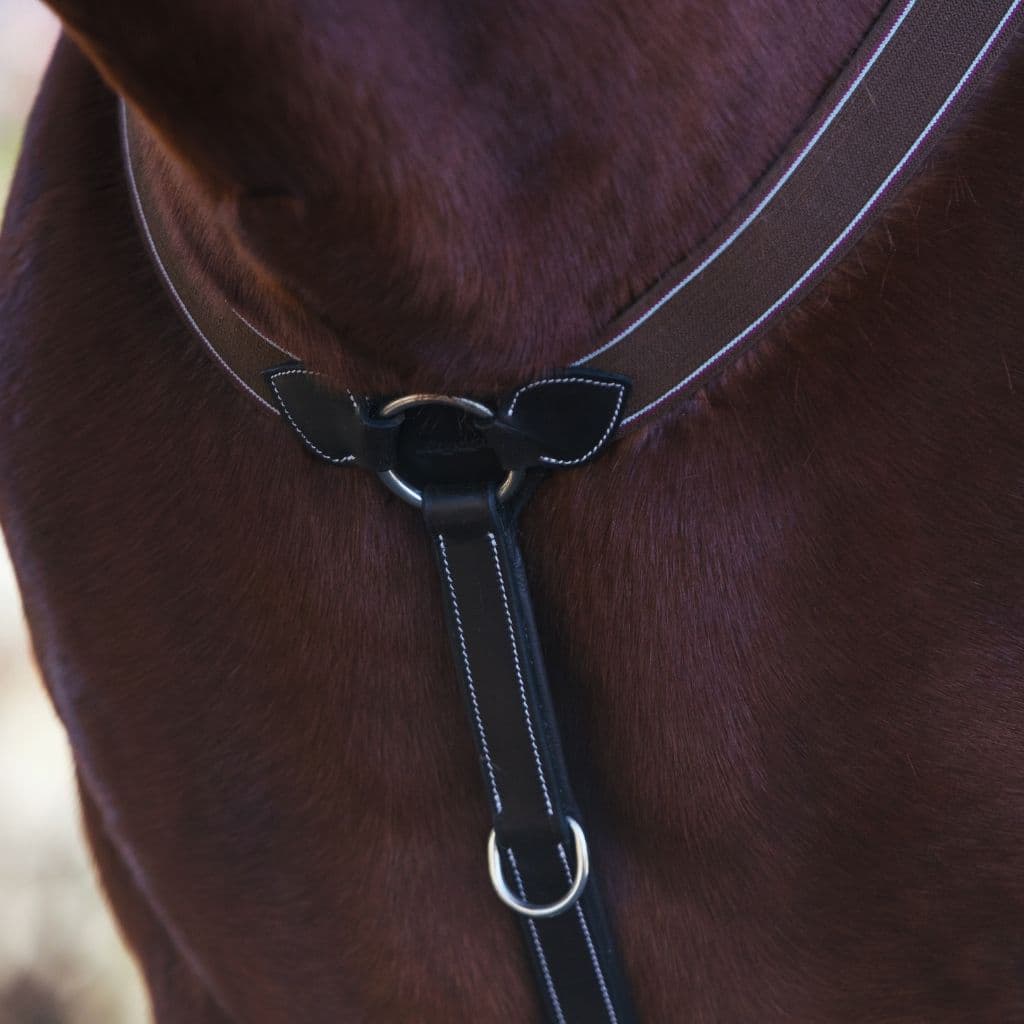 ExionPro Heart Shape 3 Point Breastplate - Matching Elastic