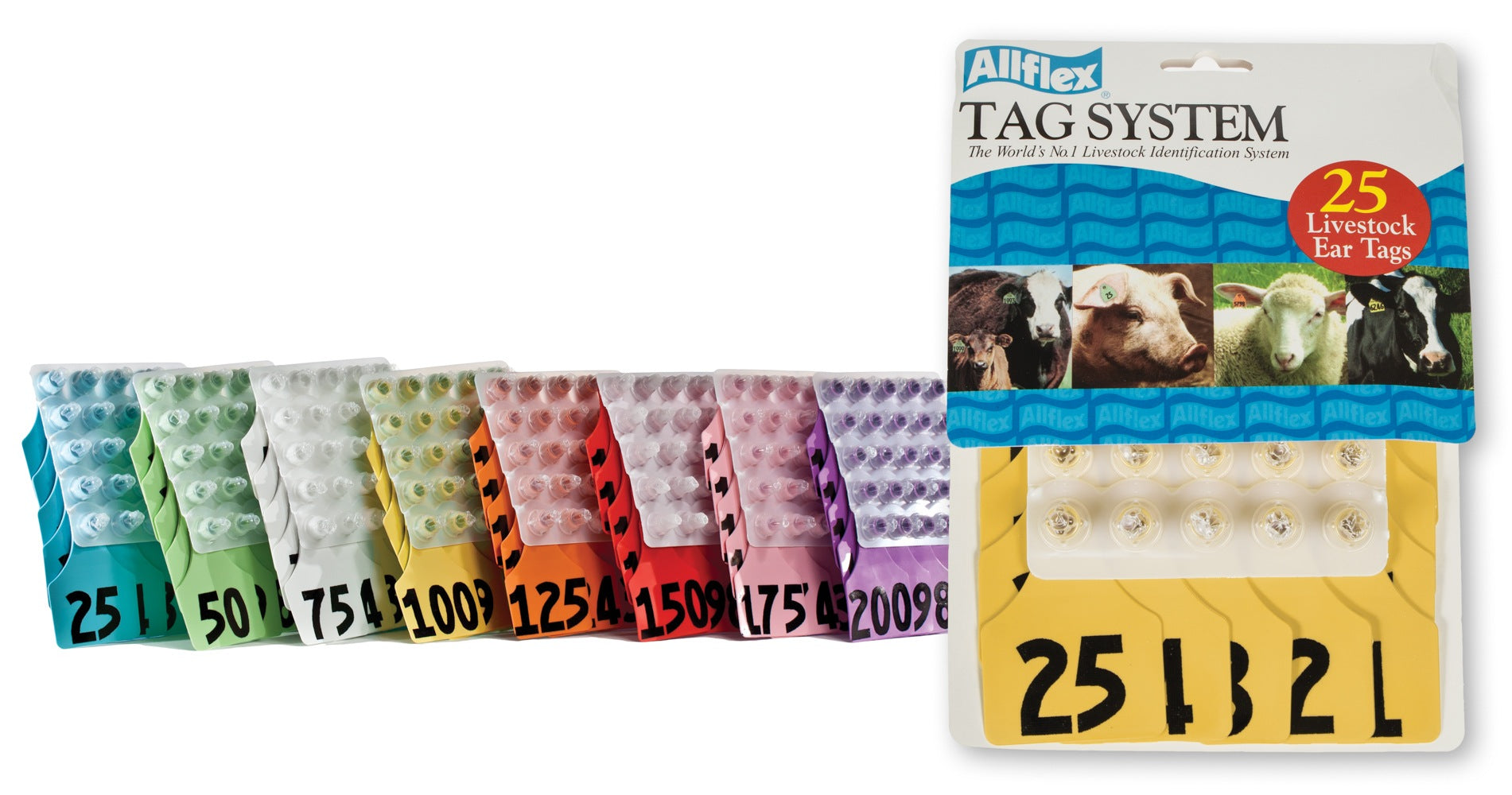 ALLFLEX: LARGE - FEM/SM - PINK - 76-100