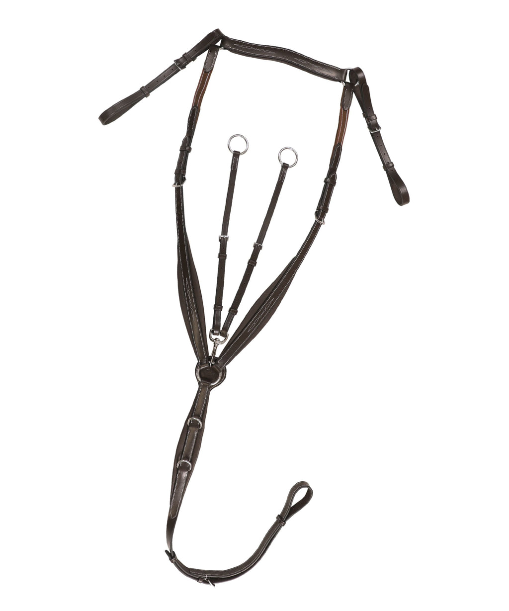 ExionPro Wings Breastplate