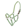 Color Collection by Ovation® Lucky Breakaway Halter - Cactus