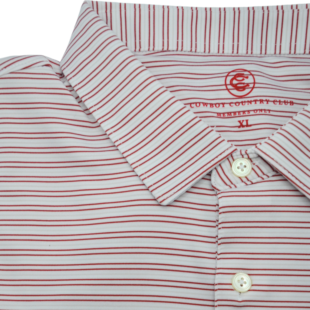 Thin Stripe Polo