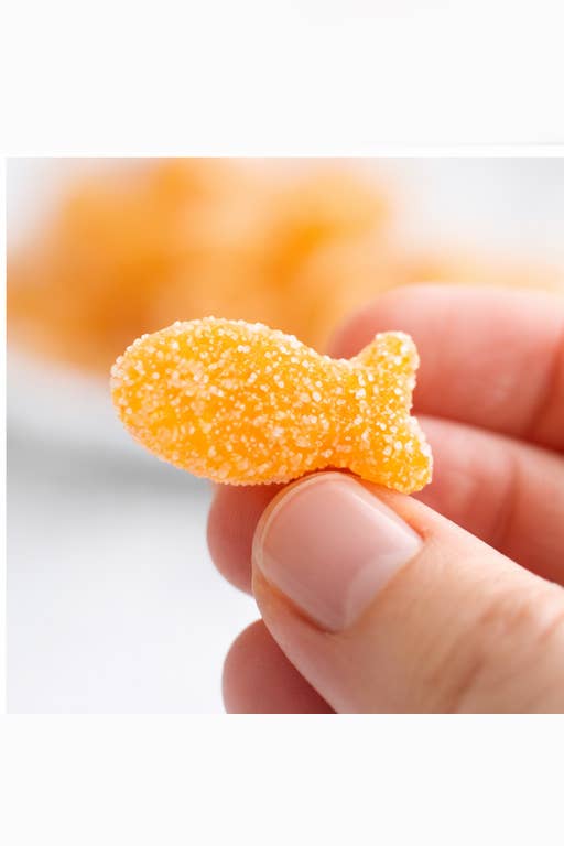 Horse Sugar Treats - Goldfish