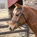 Henri de Rivel Pro Mono Crown Padded Bridle