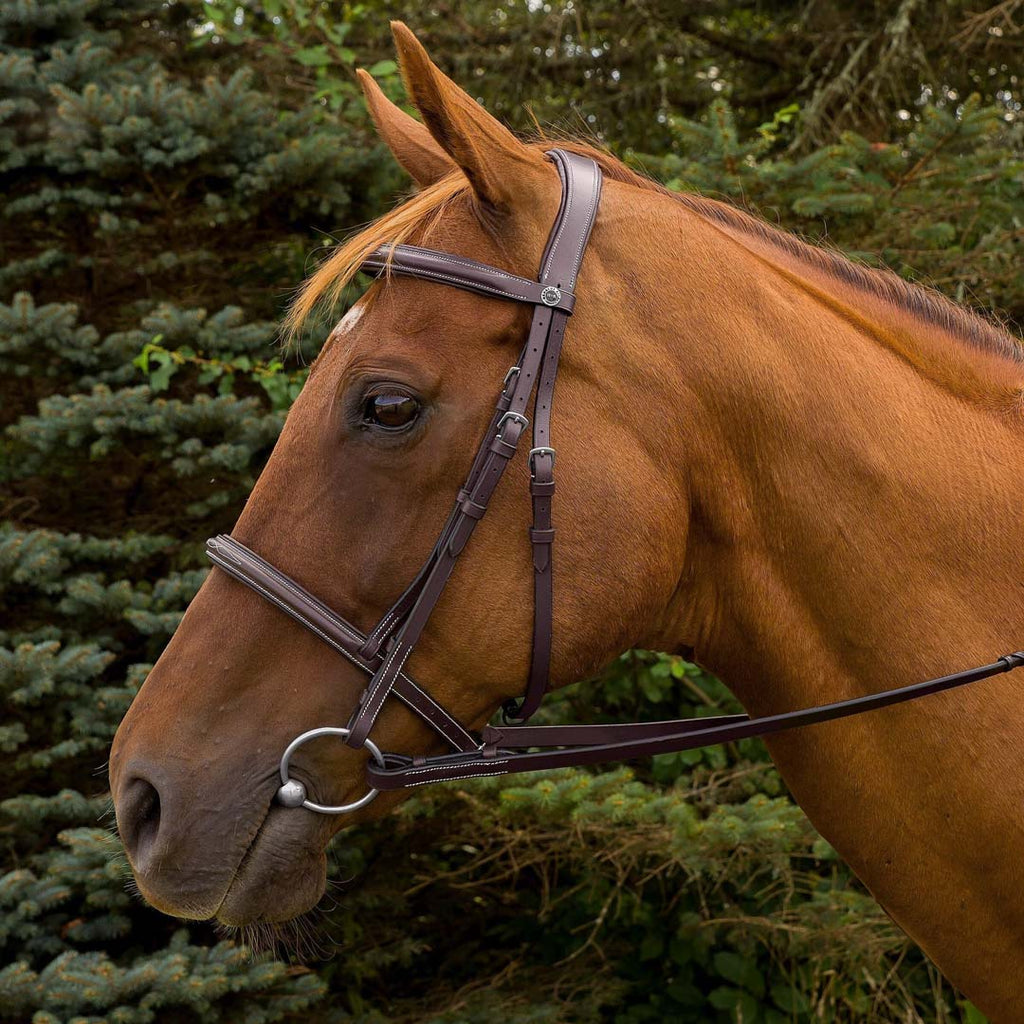 Henri de Rivel Pro Mono Crown Fancy Stitched Padded Bridle