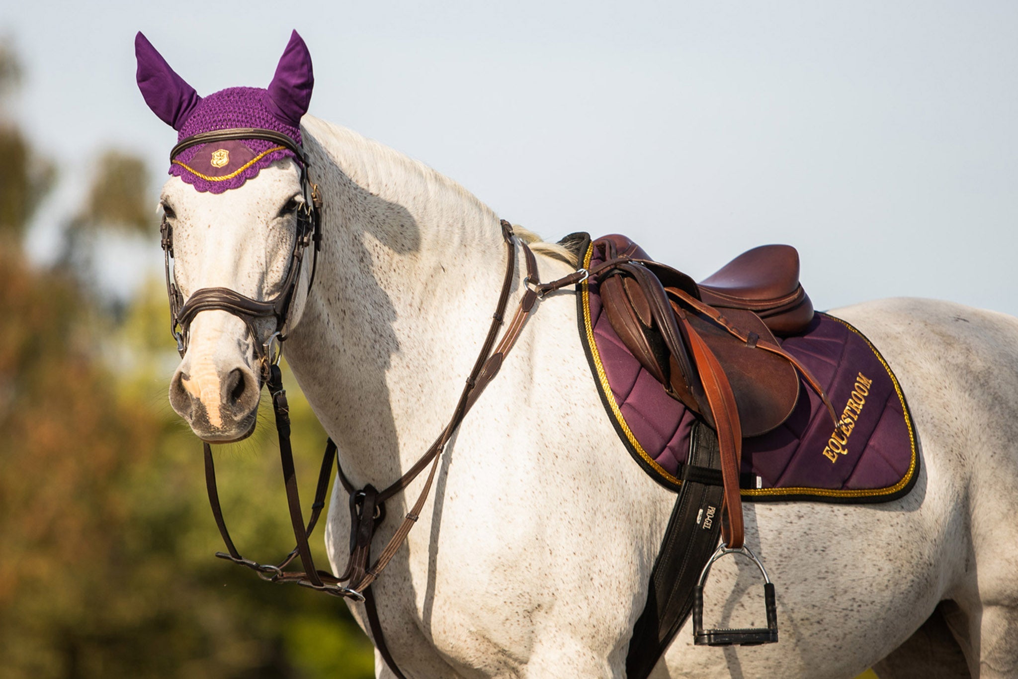 Dark Orchid Saddle Pad