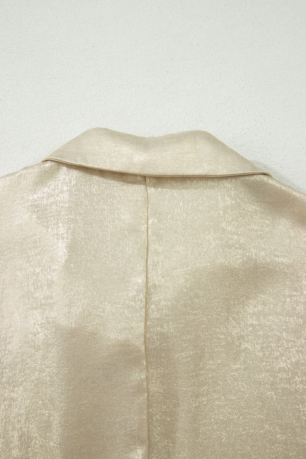 Myosotis Collared V Neck Half Sleeve Metallic Top
