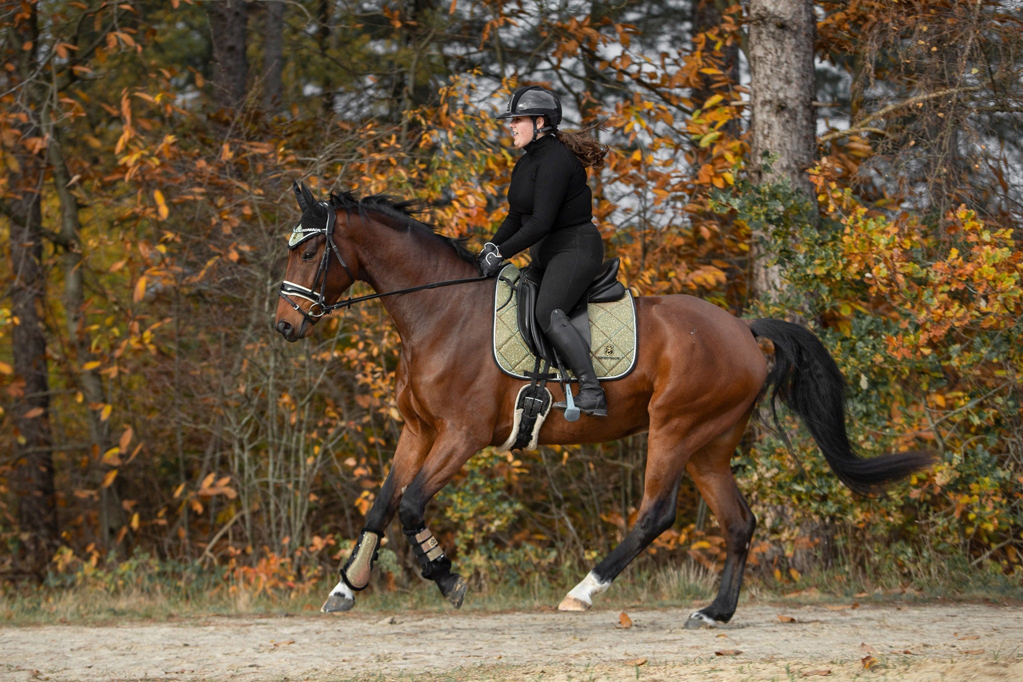 Astris Saddle Pad Set