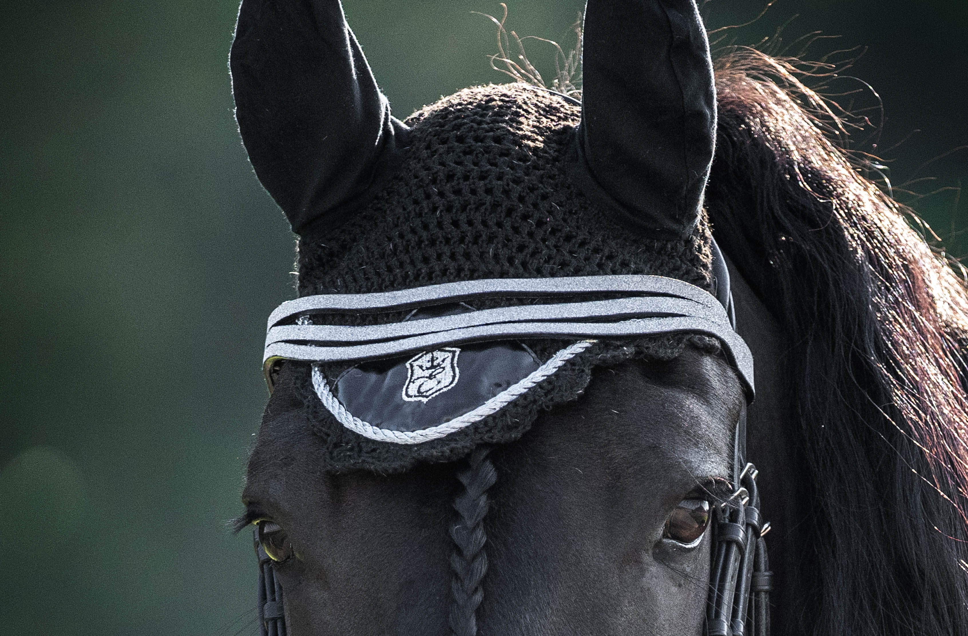 Black Ink Fly Hat