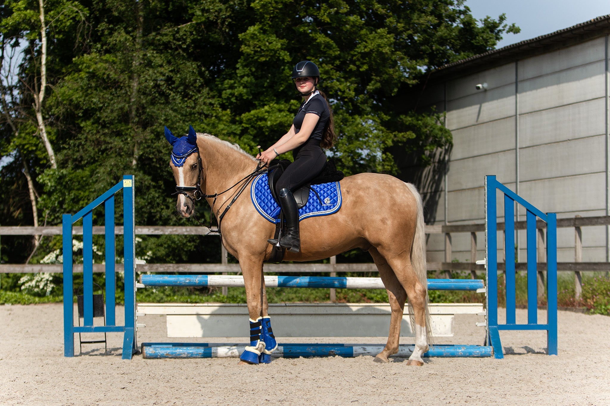 Majorelle Blue Saddle Pad
