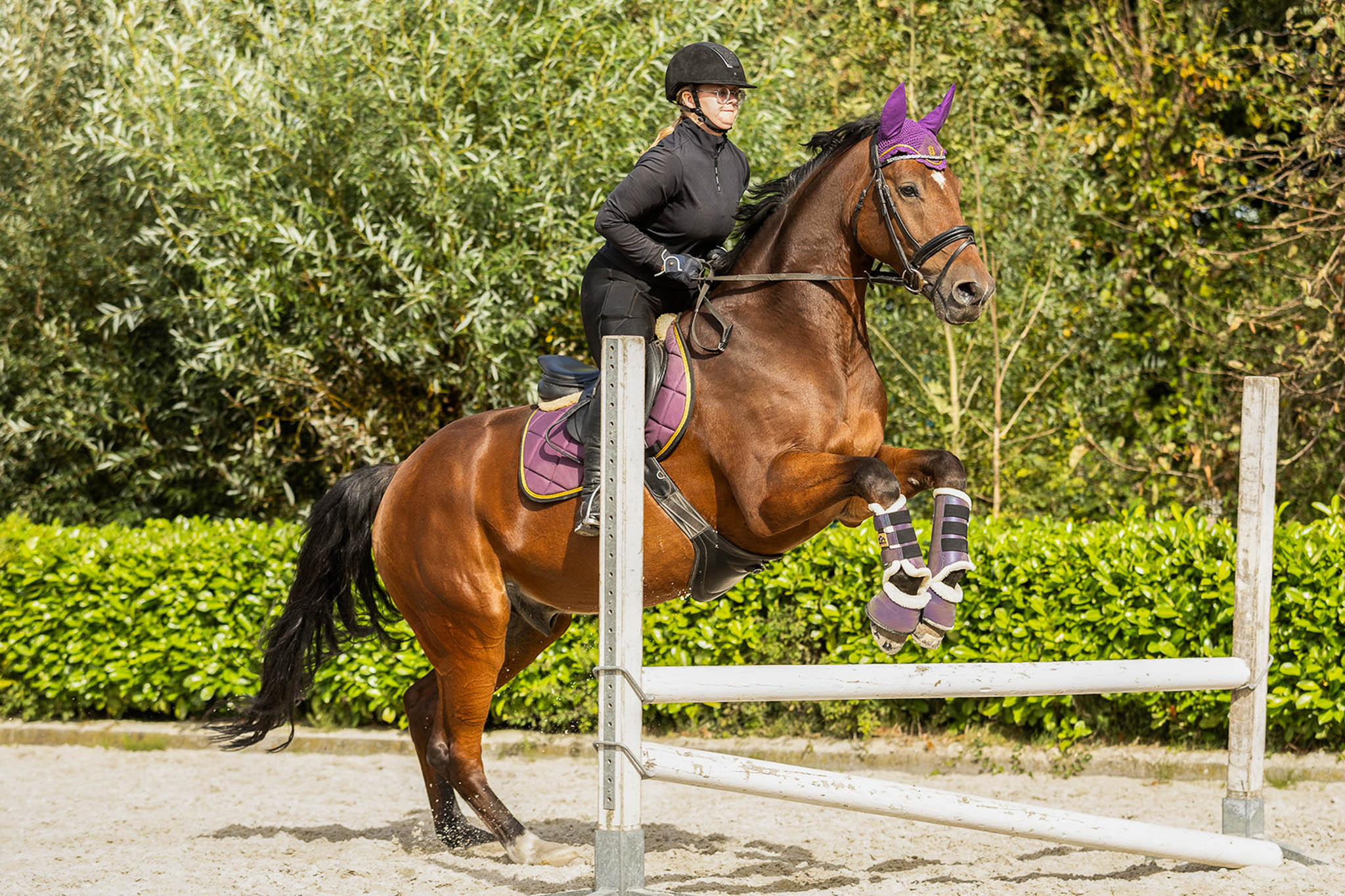 Dark Orchid Saddle Pad