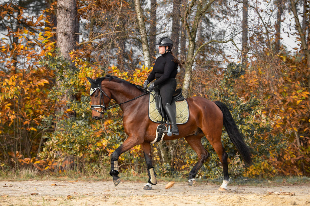 Astris Saddle Pad Set