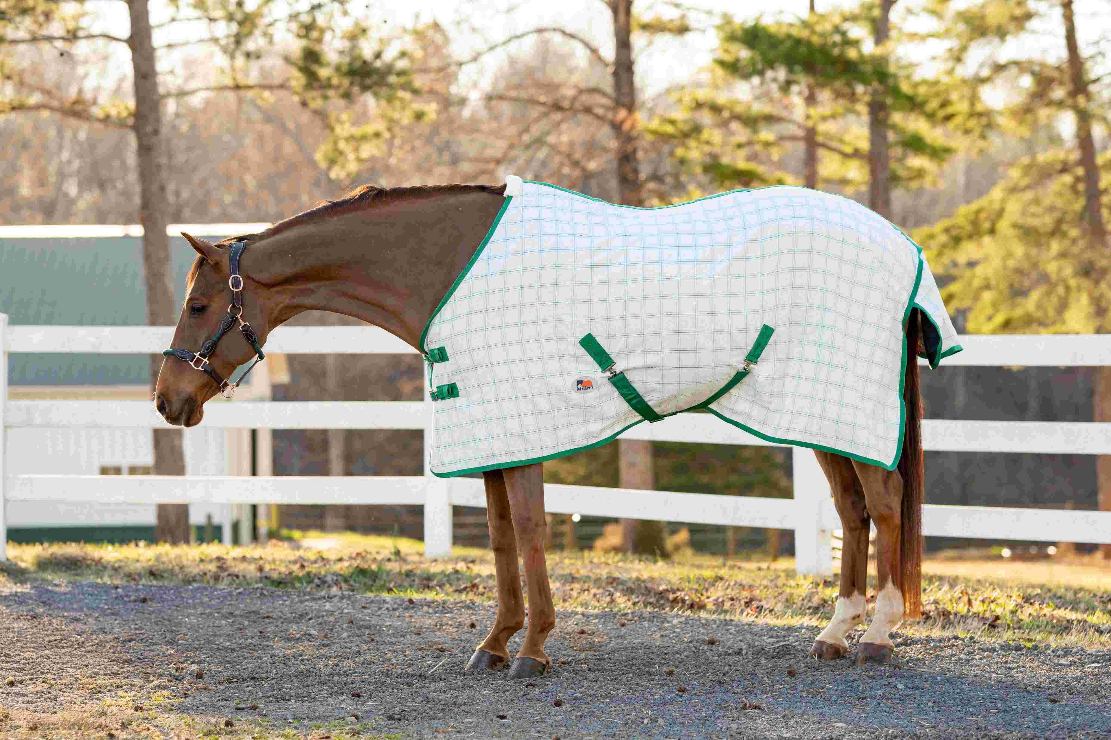 Miller's Aussie Ripstop Stable Sheet