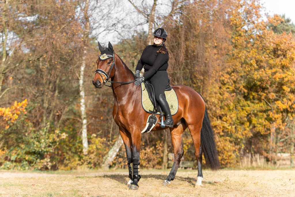 Astris Saddle Pad Set
