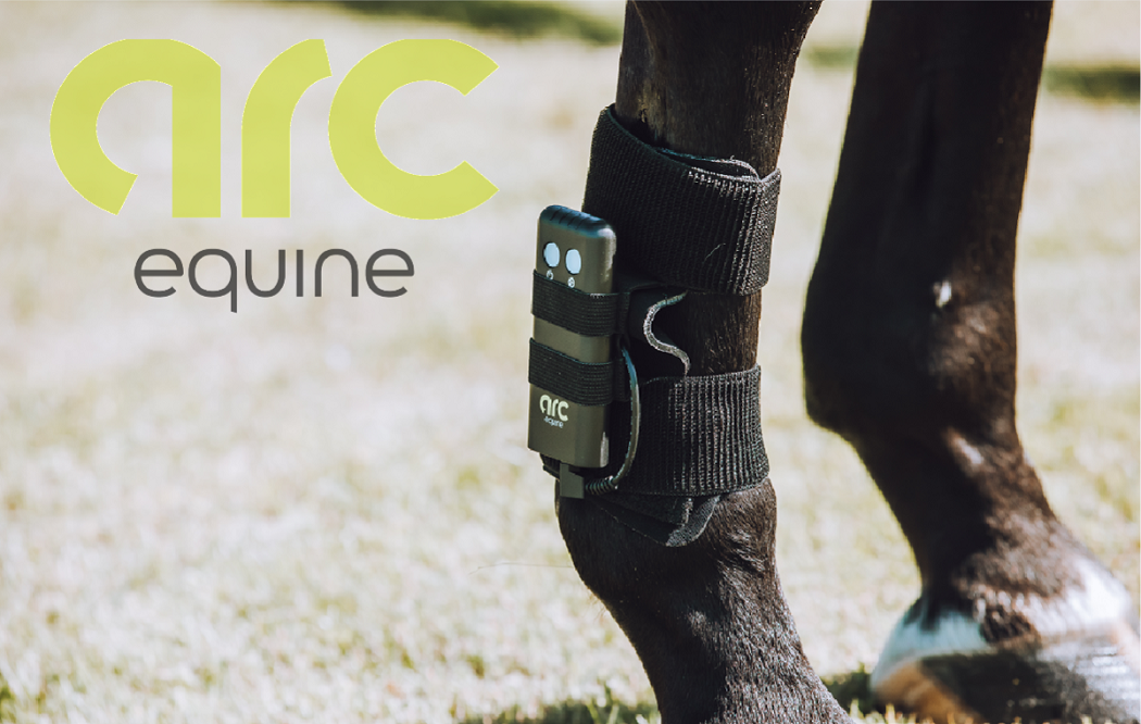 ARC Equine Therapy System Carry Bag