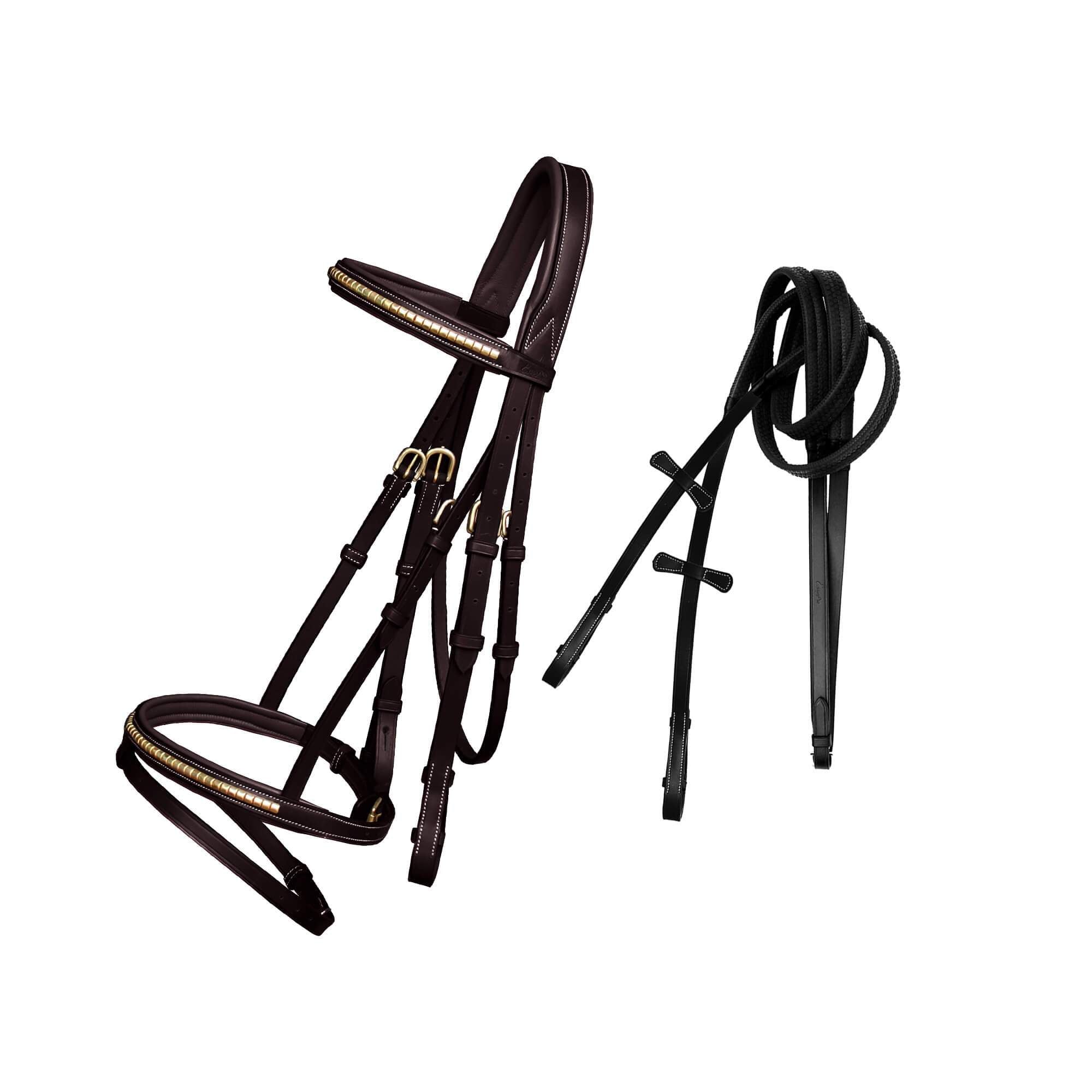 ExionPro SS / Brass Clincher Bridle With Flash and Reins