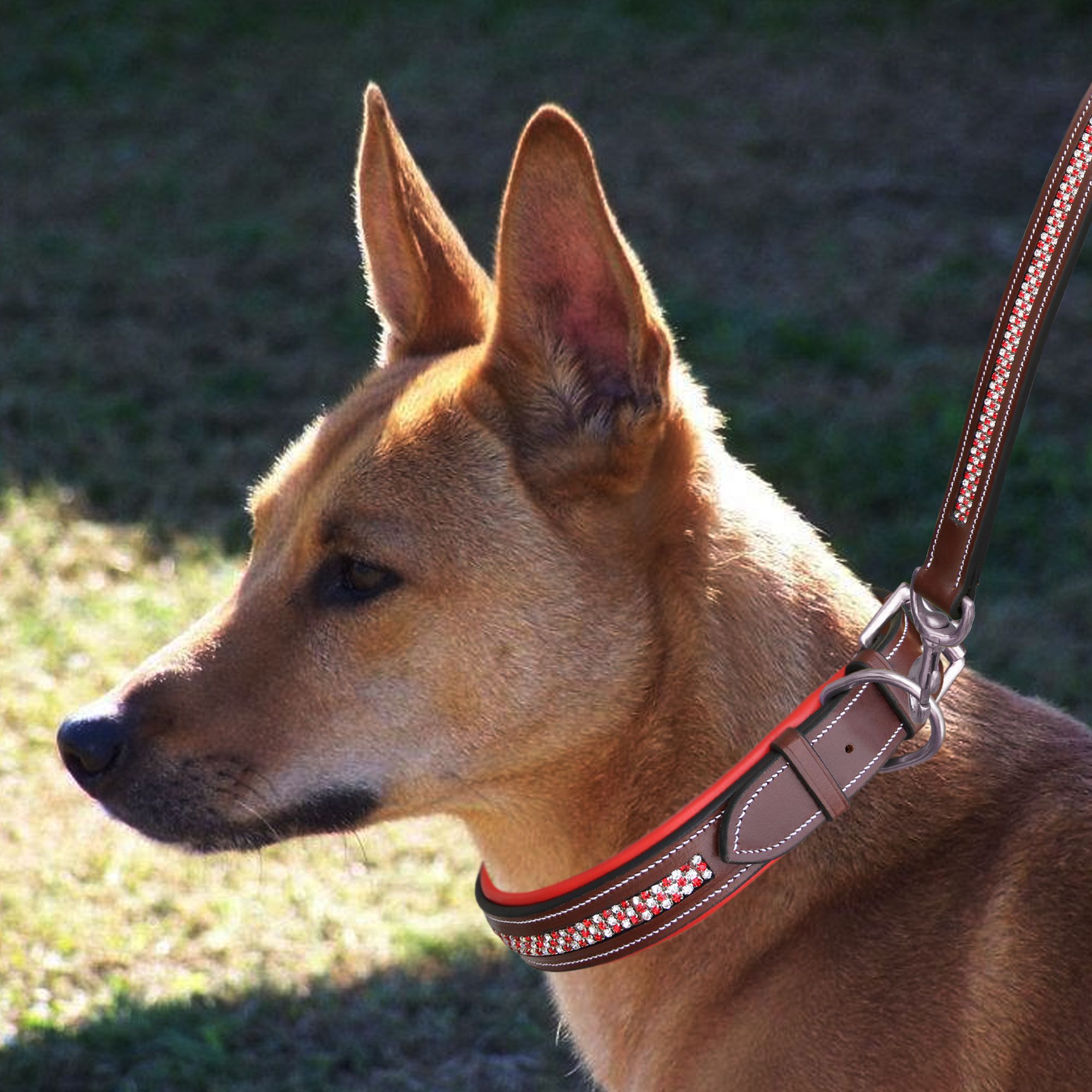 ExionPro Red Bling Padded Dog Leash