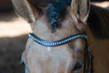Frozen Browband