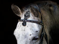Glistening Copper Browband