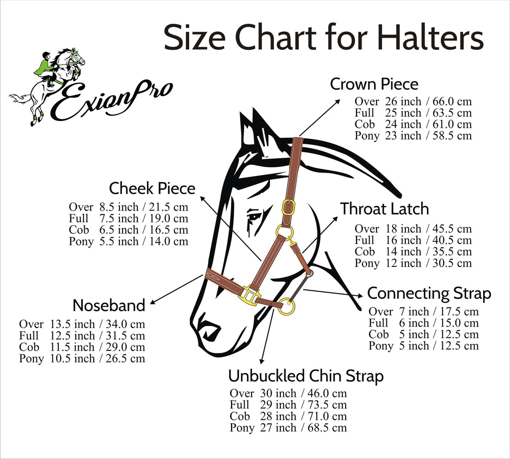 ExionPro Fancy Stitched Halter - Brass Nickel Hardware