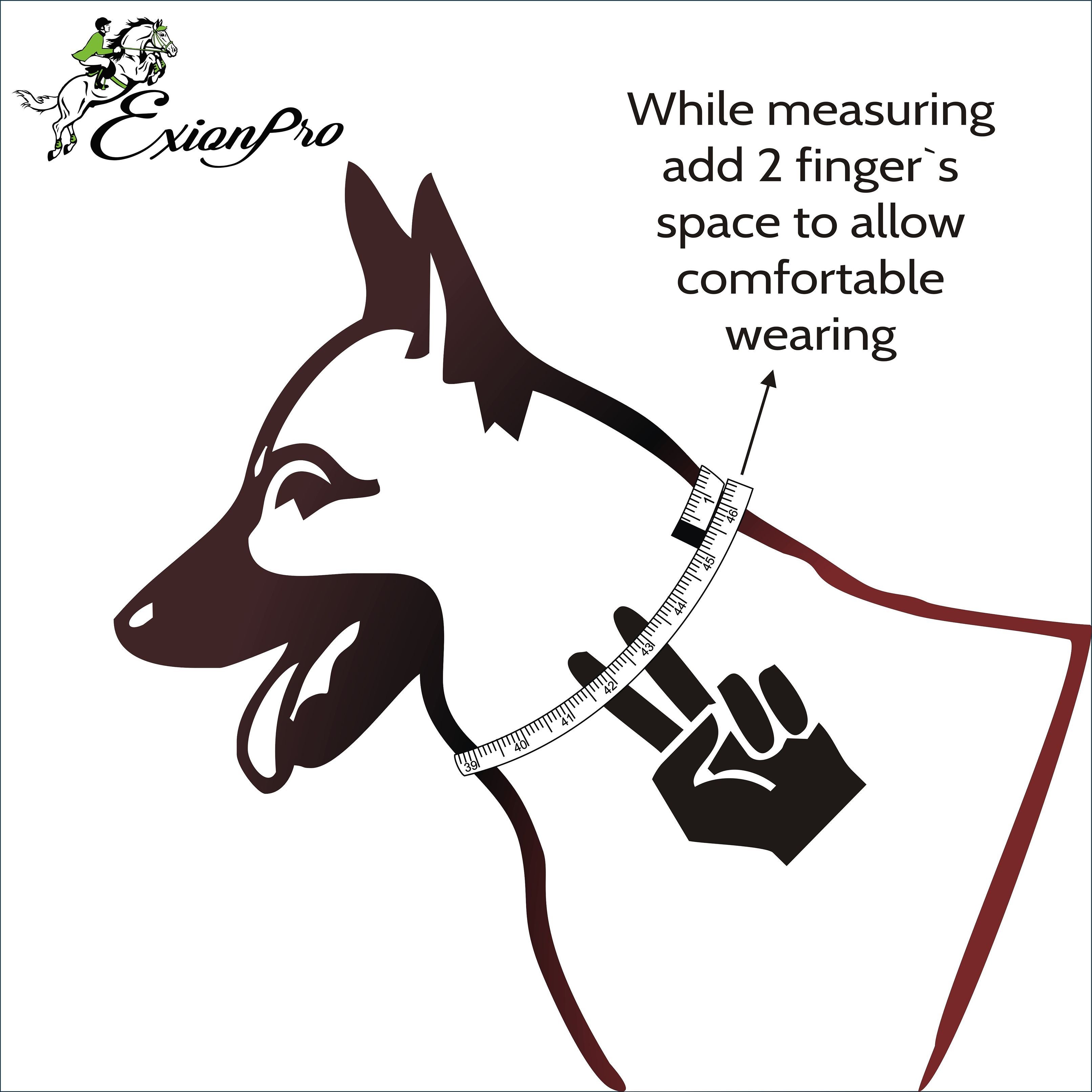 ExionPro Black Bling Dog Collar With Leash