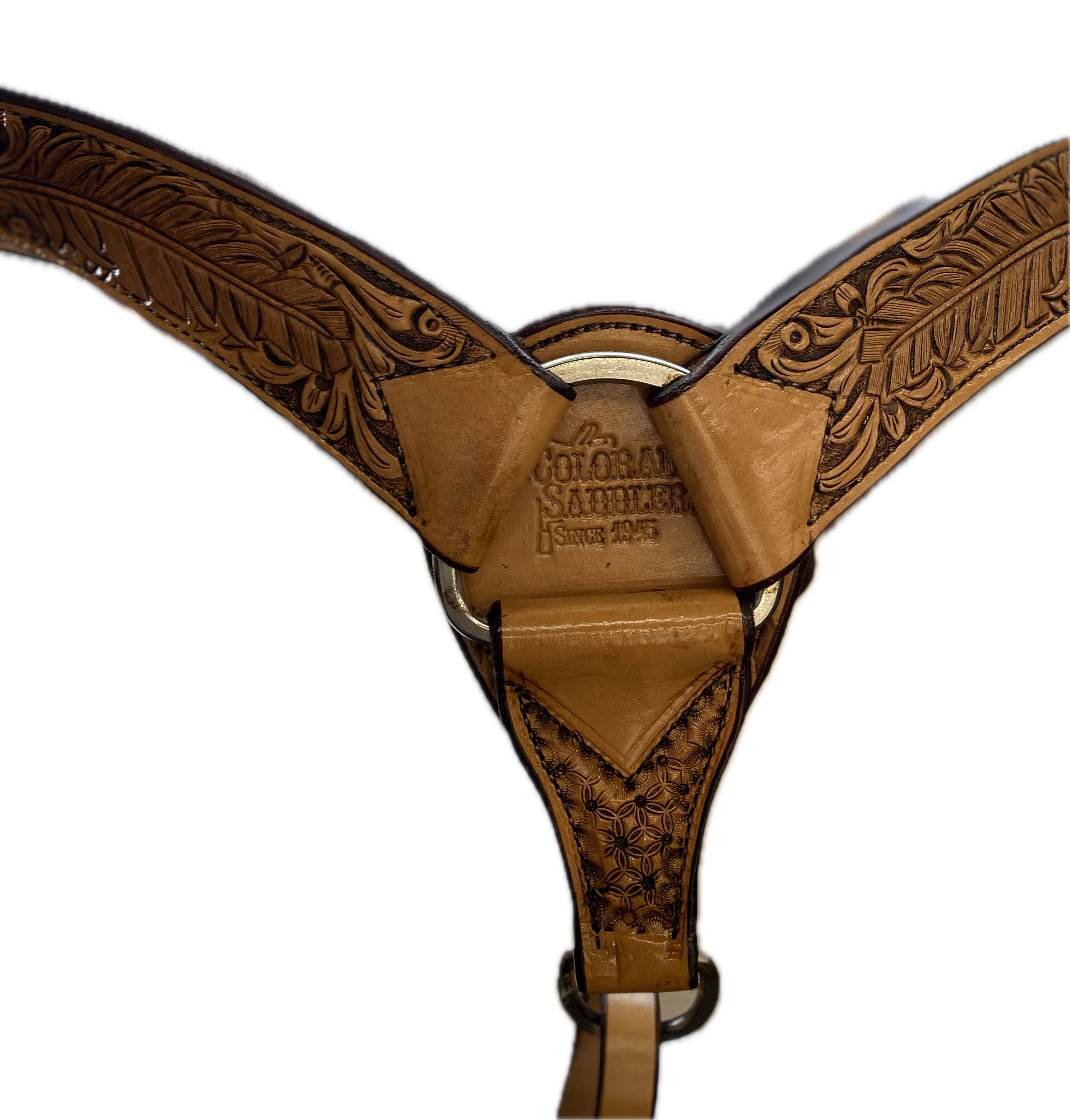 Deluxe Trail Flex Eagle Wing 13.5"