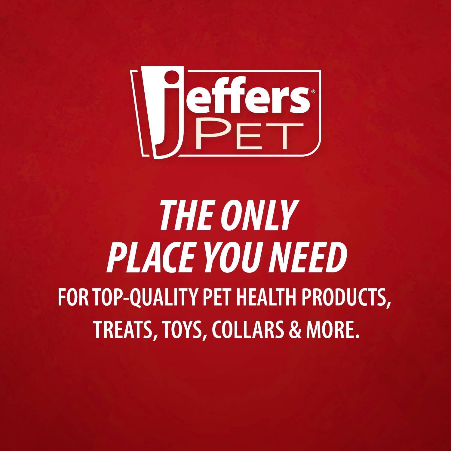 Jeffers Natural Flea & Tick Pennyroyal Dog Shampoo - Aids in Repelling Fleas, Ticks, Flies & Mosquitos