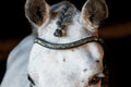 Metallic Bedazzled Browband