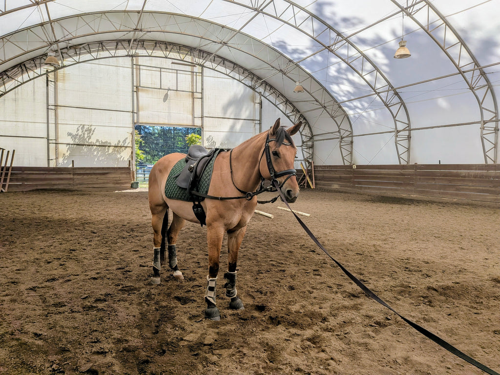 Adjustable Leather Side Reins with Rubber Ring