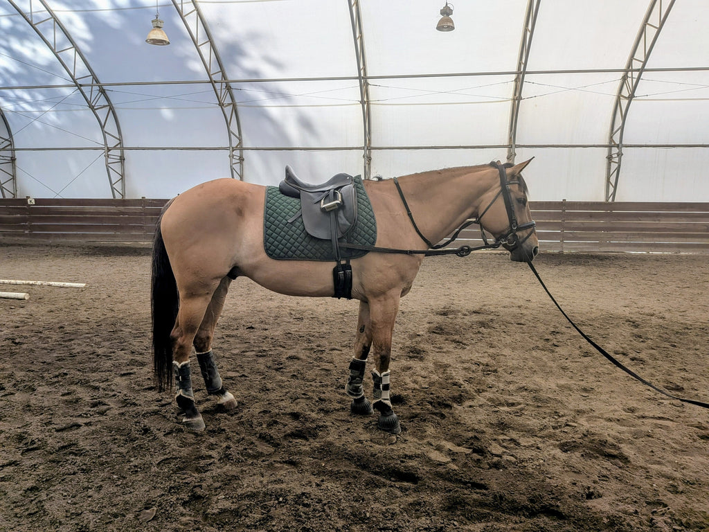 Adjustable Leather Side Reins with Rubber Ring