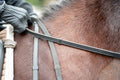Rubber Lined Leather Reins with Stops