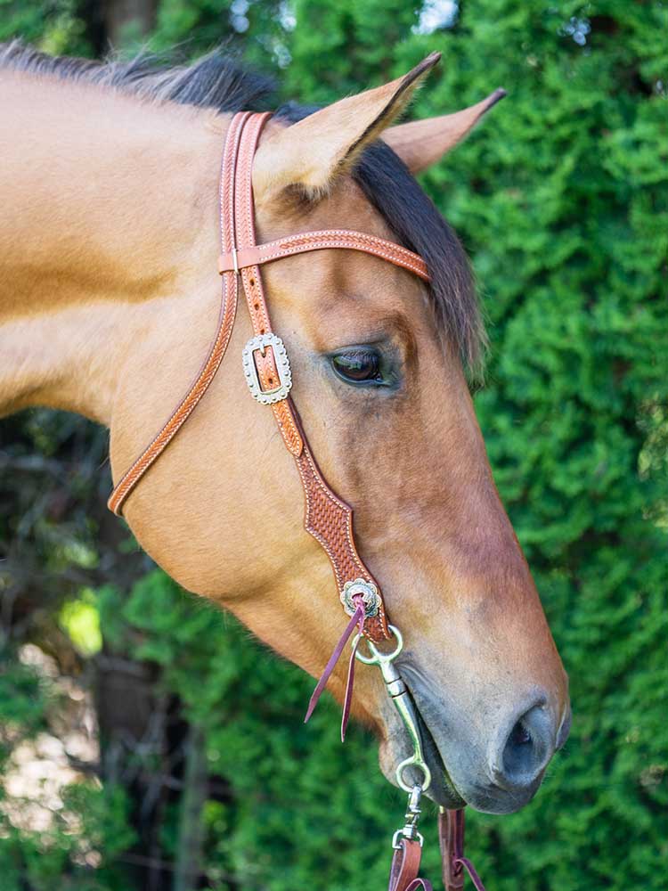 Sedona Chestnut Western Browband Headstall