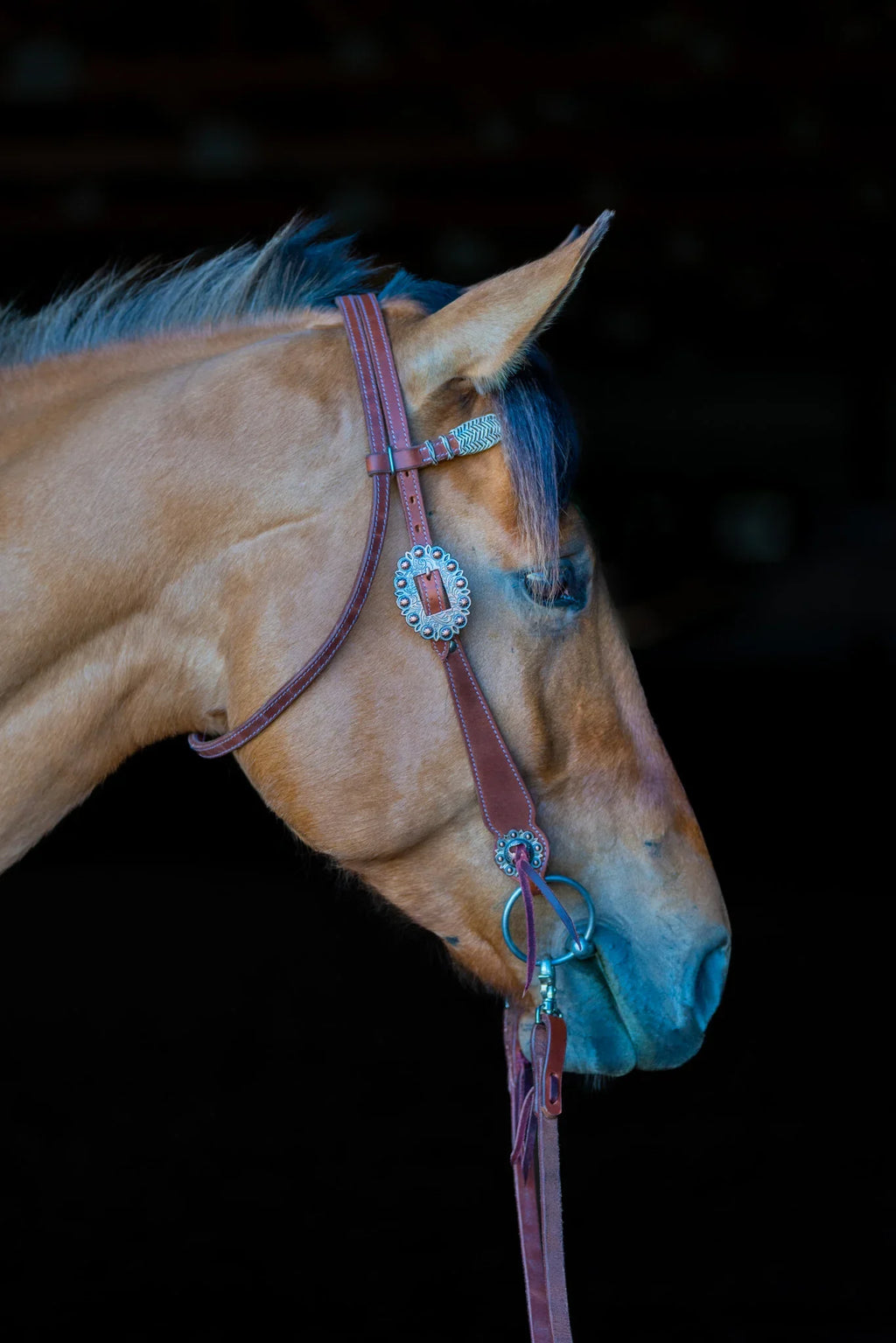 Phoenix Western Browband Headstall