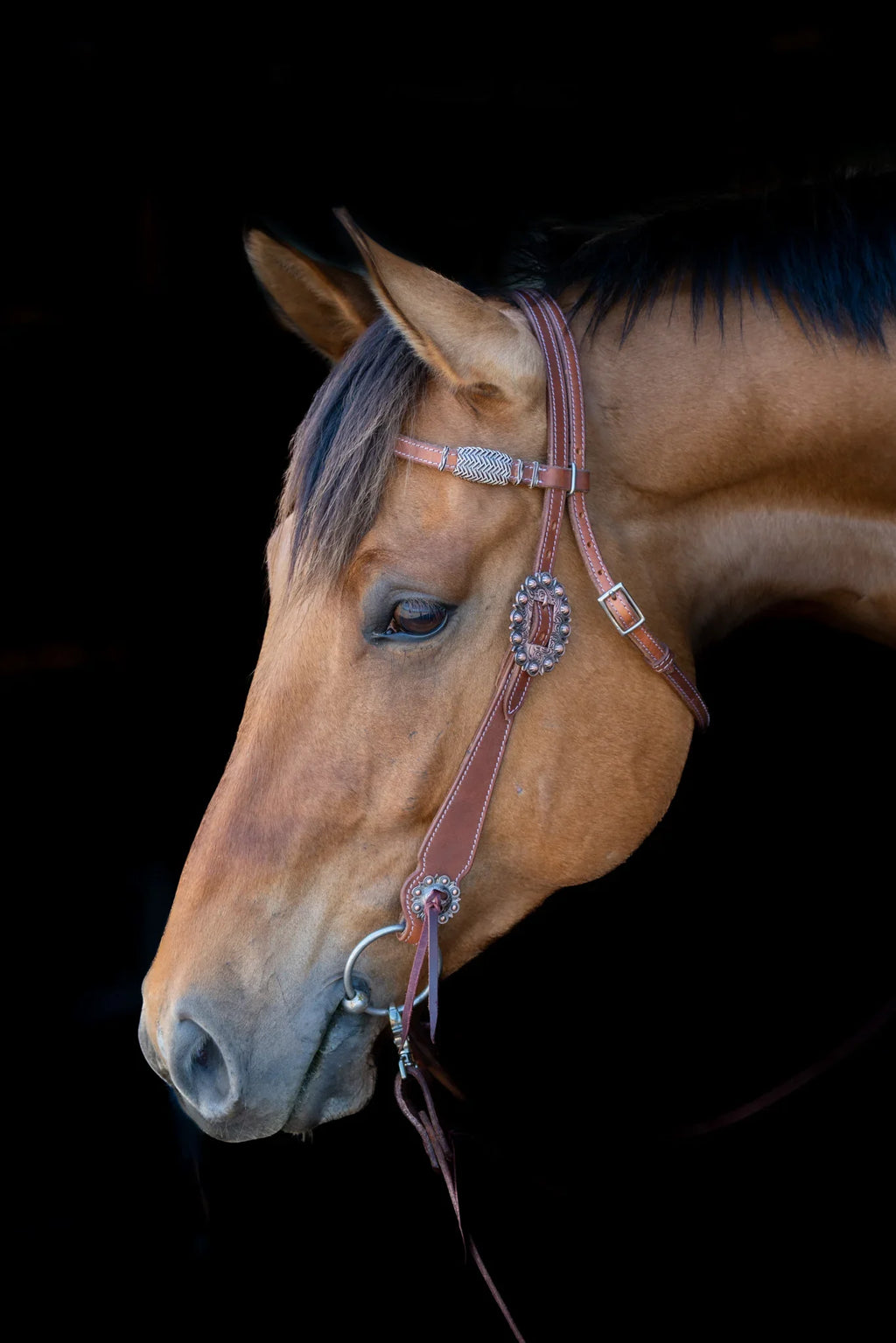 Phoenix Western Browband Headstall